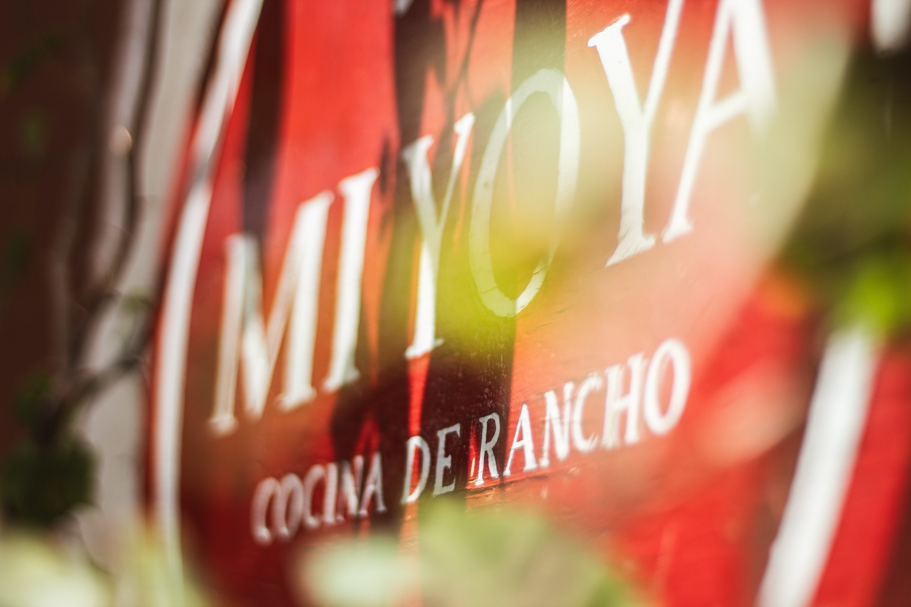 Mi Yoya storefront on Quinta Avenida
